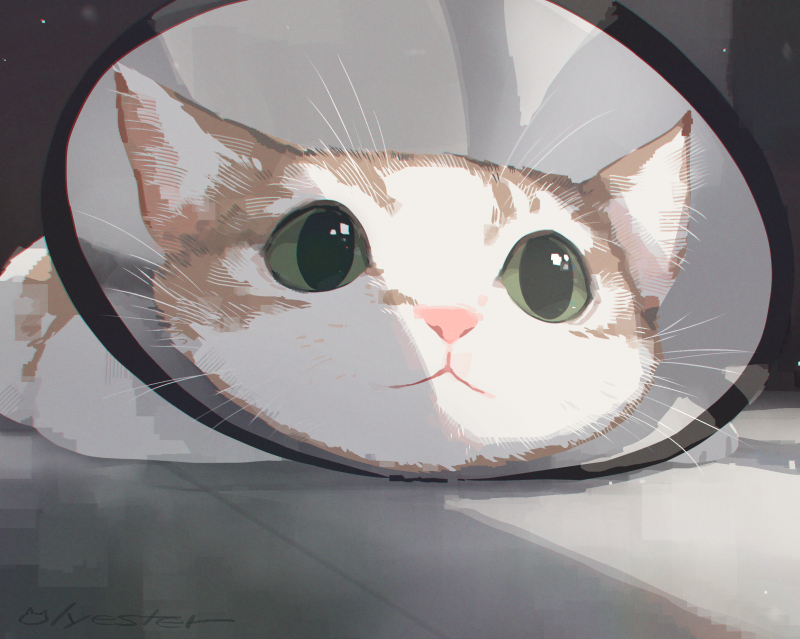 animal_focus cat commentary english_commentary green_eyes lying no_humans olyester on_ground on_stomach original pet_cone photo-referenced solo white_cat