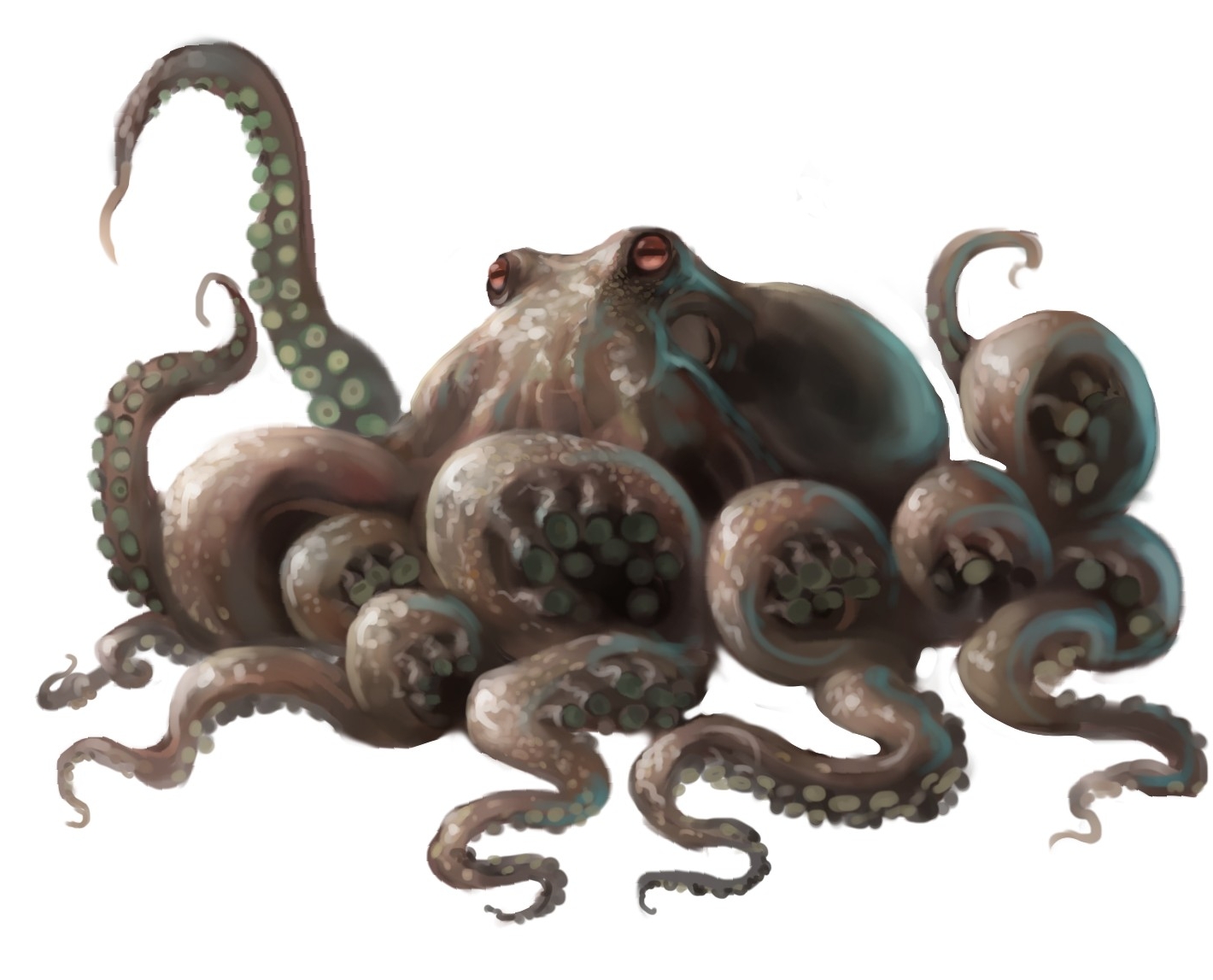 animal crossover full_body giant giant_monster giant_octopus_(godzilla) godzilla_(series) horizontal_pupils kaiju king_kong_(series) king_kong_vs._godzilla monster no_humans octopus sea_monster simple_background tentacles toho ultra-taf white_background