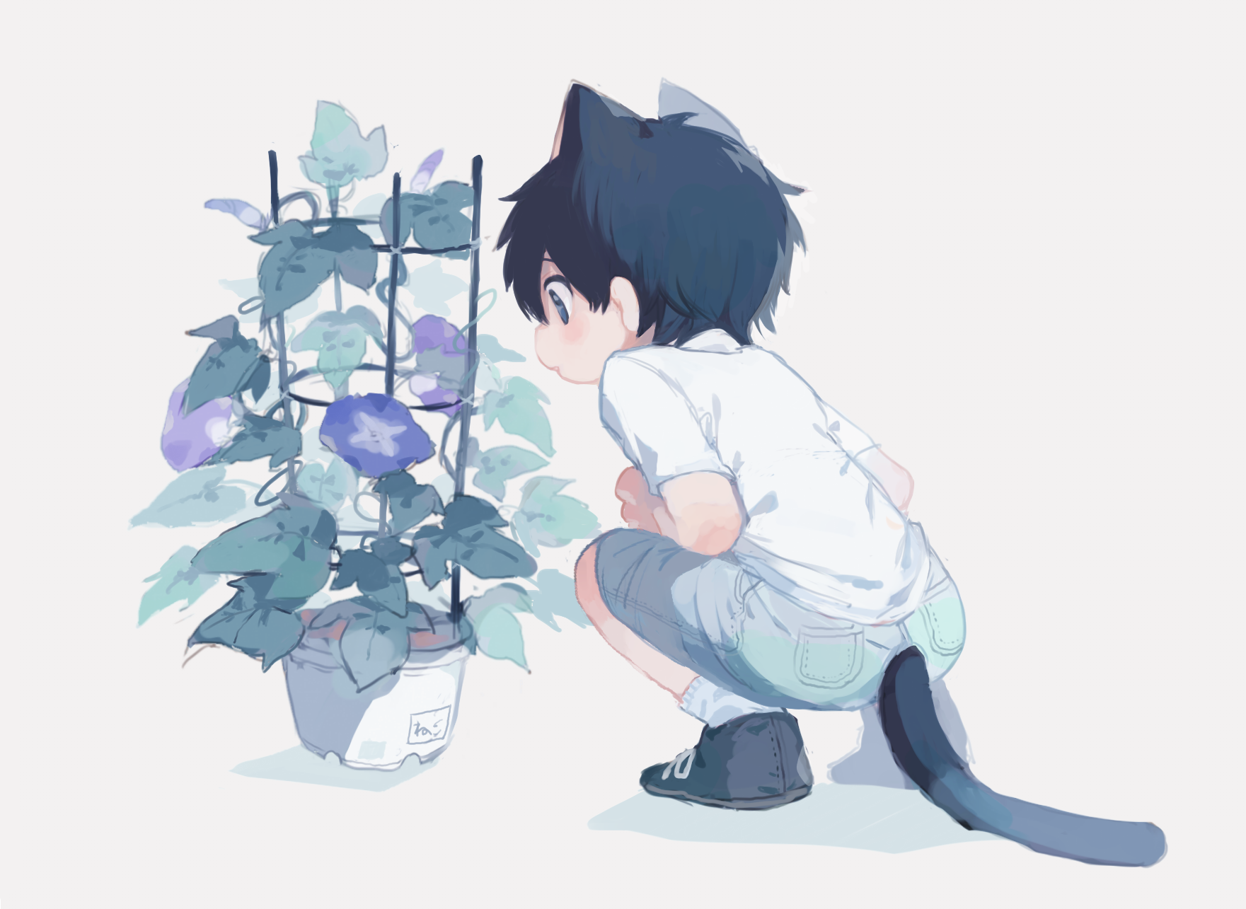 1boy animal_ears aqua_shorts black_eyes black_hair black_shoes blush_stickers cat_boy cat_ears cat_tail commentary_request cotono_(nazekun) flower flower_pot full_body grey_background highres male_focus morning_glory neko-kun_(cotono_(nazekun)) original parted_lips plant potted_plant purple_flower shirt shoes short_sleeves shorts socks solo squatting tail trellis white_shirt white_socks