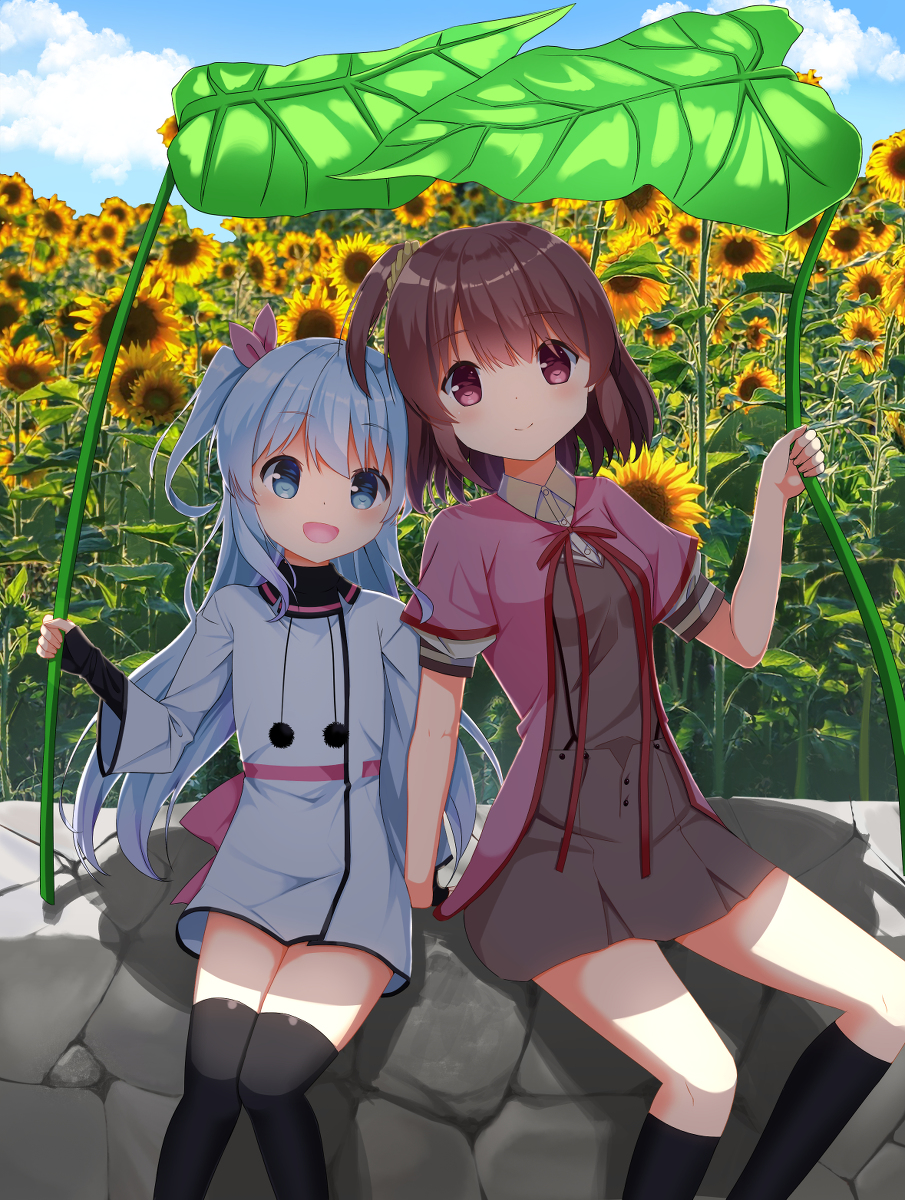 02coke 2girls black_socks black_thighhighs blue_eyes blue_hair bow breasts closed_mouth cloud day dot_nose dress dress_bow feet_out_of_frame female_focus flat_chest flower hair_between_eyes highres holding jacket komiya_nonoka long_sleeves looking_at_viewer multiple_girls noel_(sora_no_method) open_mouth outdoors pink_ribbon pom_pom_(clothes) ribbon school_uniform serafuku shadow shirt short_dress short_sleeves sitting sky sleeves_past_wrists small_breasts smile socks sora_no_method sunflower thighhighs two_side_up white_jacket white_shirt