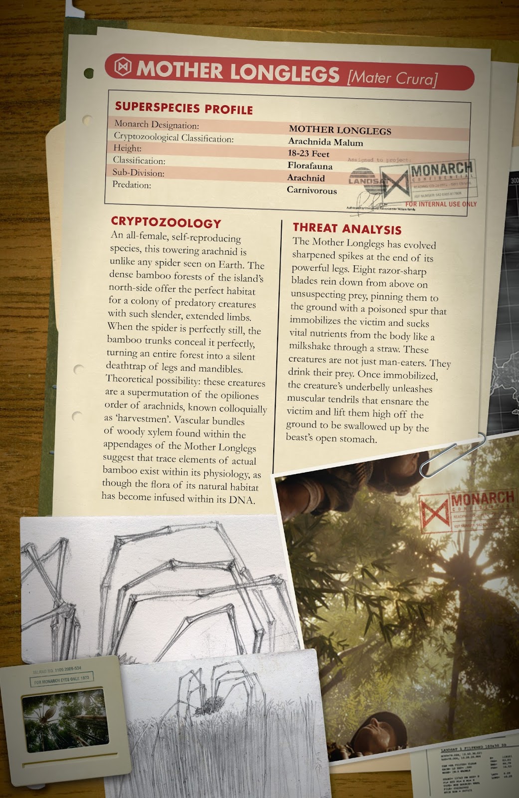 animal assault_rifle bamboo bug camouflage character_profile concept_art conspiracy diagram forest gun helmet highres kaiju king_kong_(series) kong:_skull_island legendary_pictures military military_uniform monarch_(monsterverse) monster monsterverse mother_longlegs nature official_art plant promotional_art report rifle science sketch soldier spider tactical_clothes viral_marketing weapon