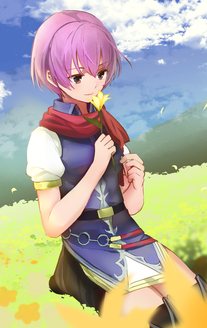 1girl breasts closed_mouth cloud cloudy_sky fire_emblem fire_emblem:_new_mystery_of_the_emblem grass katarina_(fire_emblem) nintendo purple_eyes purple_hair red_scarf scarf shoochiku_bai short_hair sky small_breasts solo