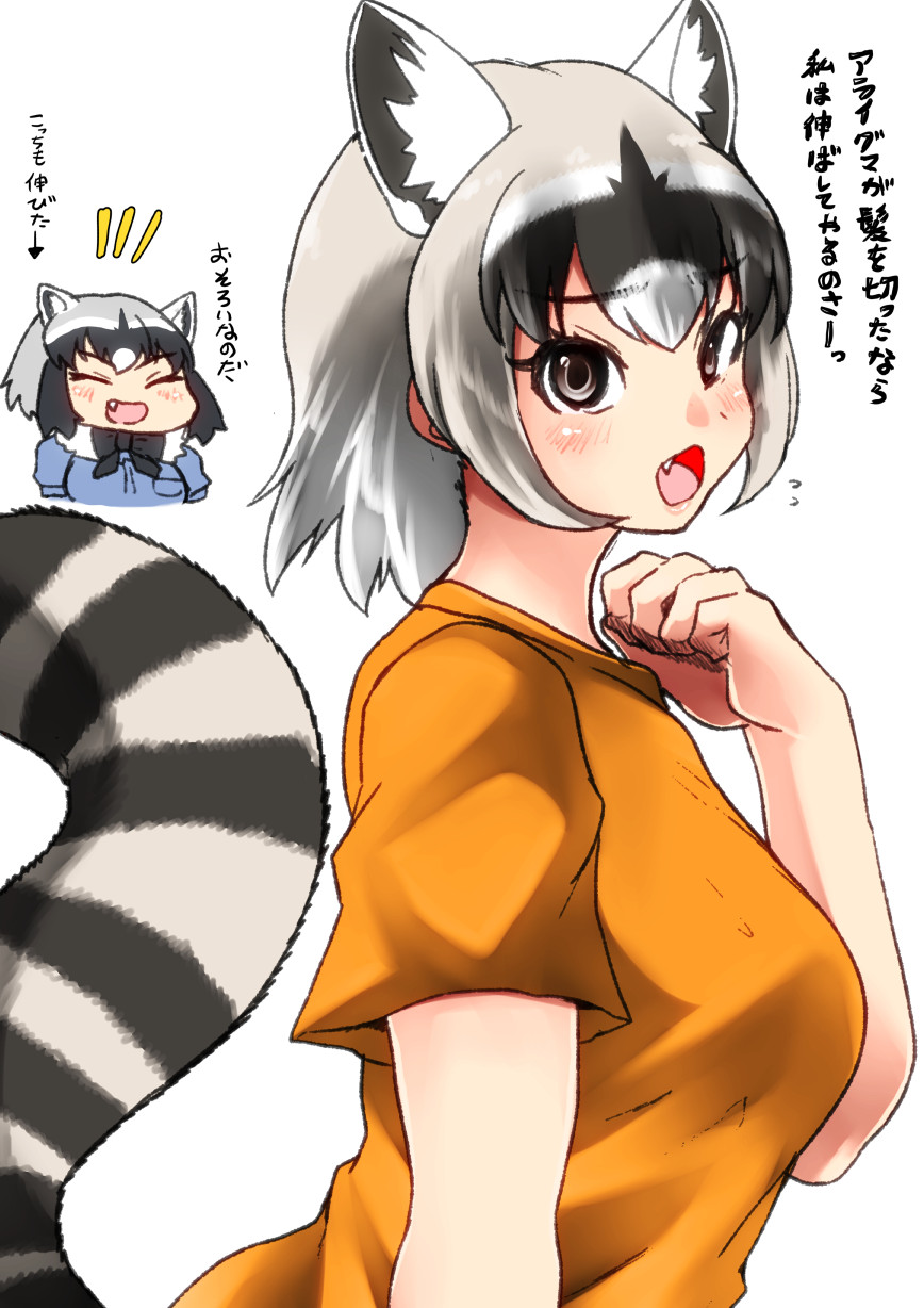 2girls alternate_hair_length alternate_hairstyle animal_ears arm_at_side arrow_(symbol) black_hair blush breasts brown_eyes chibi closed_eyes common_raccoon_(kemono_friends) crab-eating_raccoon_(kemono_friends) cropped_torso extra_ears eyelashes facing_another fang flustered flying_sweatdrops from_side furrowed_brow grey_hair hair_between_eyes hand_up highres isna_(footprintsofisna) kemono_friends looking_at_viewer medium_breasts medium_hair multicolored_hair multiple_girls open_mouth orange_shirt raccoon_ears raccoon_girl raccoon_tail shirt short_sleeves simple_background smile tail taut_clothes taut_shirt translation_request upper_body white_background white_hair