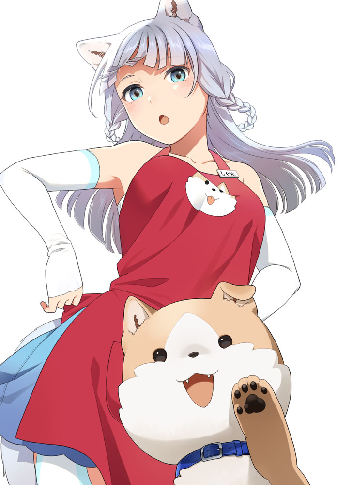1girl :o animal animal_collar animal_ear_fluff animal_ears apron bare_shoulders blue_collar blue_eyes blue_skirt blush braid breasts collar collarbone commentary_request dog elbow_gloves fang fingerless_gloves from_below gloves hataage!_kemono_michi long_hair looking_at_viewer looking_down mattaku_mousuke open_mouth pleated_skirt red_apron shigure_(kemonomichi) silver_hair simple_background skirt small_breasts solo tail twin_braids white_background white_gloves