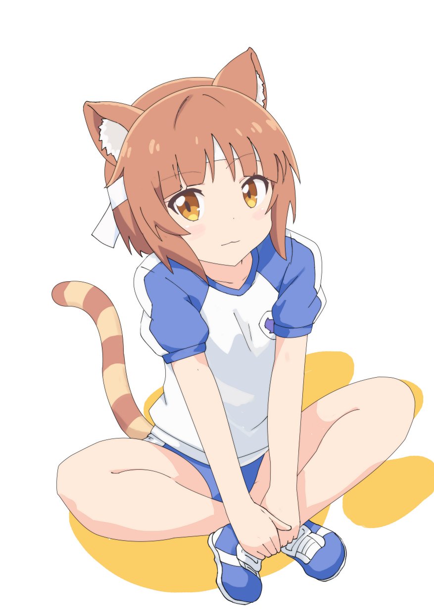 1girl :3 animal_ear_fluff animal_ears azuki_(nekopara) blue_buruma blue_shoes blue_sleeves blunt_bangs blush brown_eyes brown_hair buruma cat_ears cat_girl cat_tail closed_mouth commentary_request full_body gobanme_no_mayoi_neko gym_uniform headband highres indian_style light_smile looking_at_viewer medium_hair nekopara shirt shoes short_sleeves simple_background sitting slit_pupils sneakers solo striped_tail tail v_arms white_background white_headband white_shirt