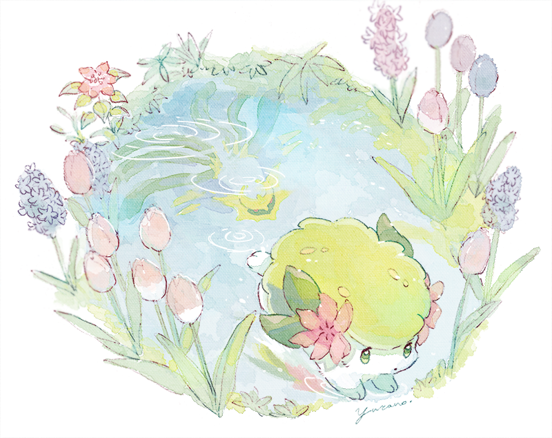 flower gen_4_pokemon giratina giratina_(origin) legendary_pokemon mythical_pokemon nintendo no_humans pink_flower pink_tulip pokemon pokemon_(creature) purple_flower shaymin shaymin_(land) tulip water yurano_(upao)