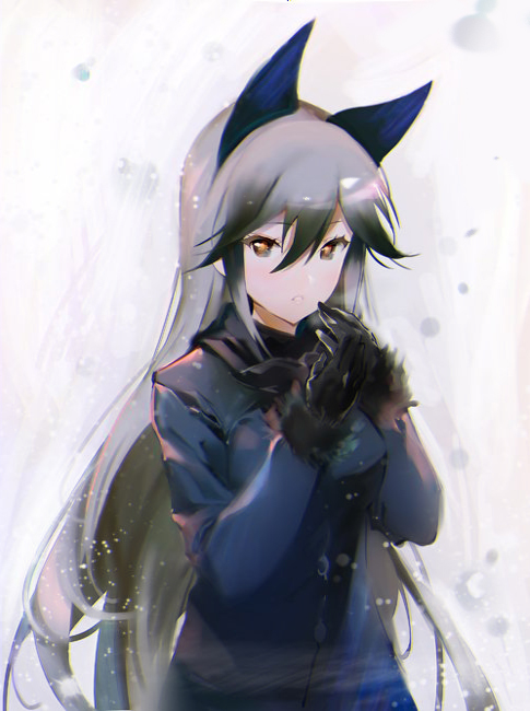 10s 1girl animal_ears black_gloves blue_coat blush coat female_focus fox_ears fur_trim gloves grey_eyes grey_hair hair_between_eyes kemono_friends long_hair looking_at_viewer naye own_hands_together parted_lips silver_fox_(kemono_friends) solo very_long_hair