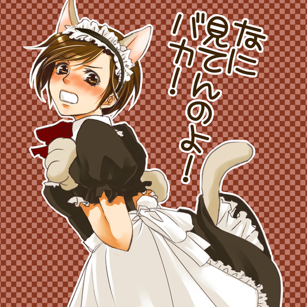 1girl animal_ears animal_hands blush brown_hair cat_ears cat_tail checkered_background female_focus meiko_(vocaloid) open_mouth short_hair solo tail toyu translated tsundere vocaloid