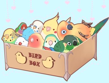 &gt;_&lt; animal_focus beak bird blue_feathers box budgerigar_(bird) cockatiel feathers ftf green_feathers heart java_sparrow lovebird lowres lying no_humans on_back orange_feathers original parakeet parrot simple_background sun_conure talons white_feathers white_java_sparrow yellow_feathers