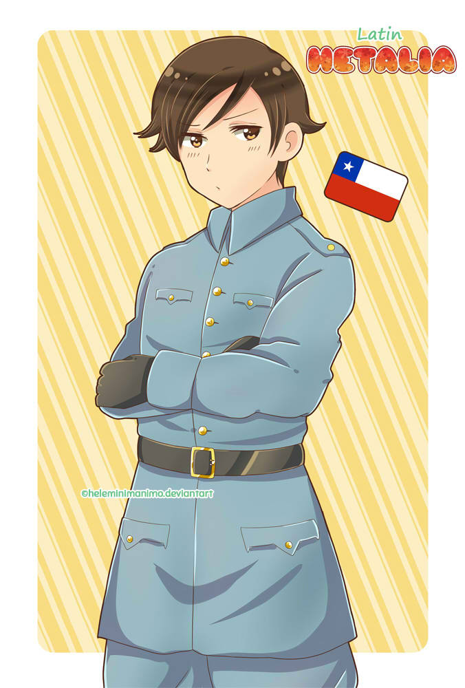 1boy axis_powers_hetalia brown_eyes brown_hair chile_(hetalia) chilean_flag closed_mouth long_hair solo standing