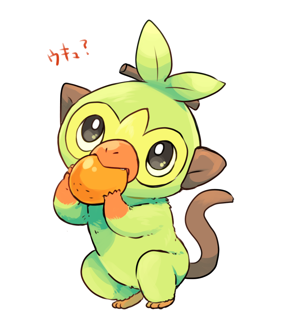 creature eating food fruit full_body gen_8_pokemon grookey holding holding_food holding_fruit mizuto_(o96ap) monkey nintendo orange_(fruit) pokemon pokemon_(creature) pokemon_focus simple_background solo standing white_background
