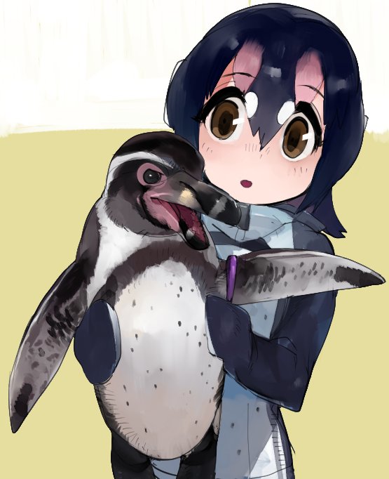 1girl animal bird blue_hair brown_eyes creature_and_personification grape-kun hair_between_eyes holding holding_animal holding_bird humboldt_penguin humboldt_penguin_(kemono_friends) jpeg_artifacts kemono_friends multicolored_hair open_mouth penguin personification pink_hair raichiyo real_life short_hair tareme white_hair