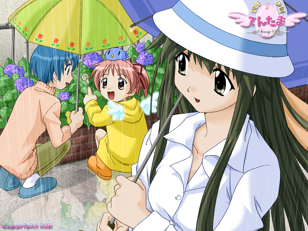 3girls ankle_socks aqua_eyes aqua_hair aqua_shoes archived_source blue_umbrella boots bucket_hat buttons coat collar collared_shirt collared_sweater company_name copyright_name detached_wings dress_shirt egg english_text fence floral_print_umbrella flower full_body green_eyes green_hair green_pants green_umbrella hat holding holding_umbrella hood hood_down hooded_coat horizontal-striped_umbrella iron_fence karin_(tentama) kindle_imagine_develop kodaka_mao koshimizu_takayuki lavender_(flower) logo long_hair long_sidelocks long_sleeves looking_at_viewer multiple_girls nanase_yuka official_art official_wallpaper open_mouth orange_boots outdoors pants pink_collar pink_eyes pink_hair pink_sleeves pink_sweater plant purple_flower rain raincoat red_flower red_tulip reflection reflective_water rubber_boots second-party_source shirt shoes short_hair sidelocks sleeve_cuffs snail socks straight_hair striped_umbrella sweater tentama tentama:_1st_sunny_side three-quarter_sleeves title tulip turtleneck turtleneck_sweater two-tone_umbrella umbrella upper_body white_collar white_hat white_sleeve_cuffs white_sleeves white_socks white_wings wings yashiro_shizuka yellow_coat yellow_hood yellow_sleeve_cuffs yellow_umbrella