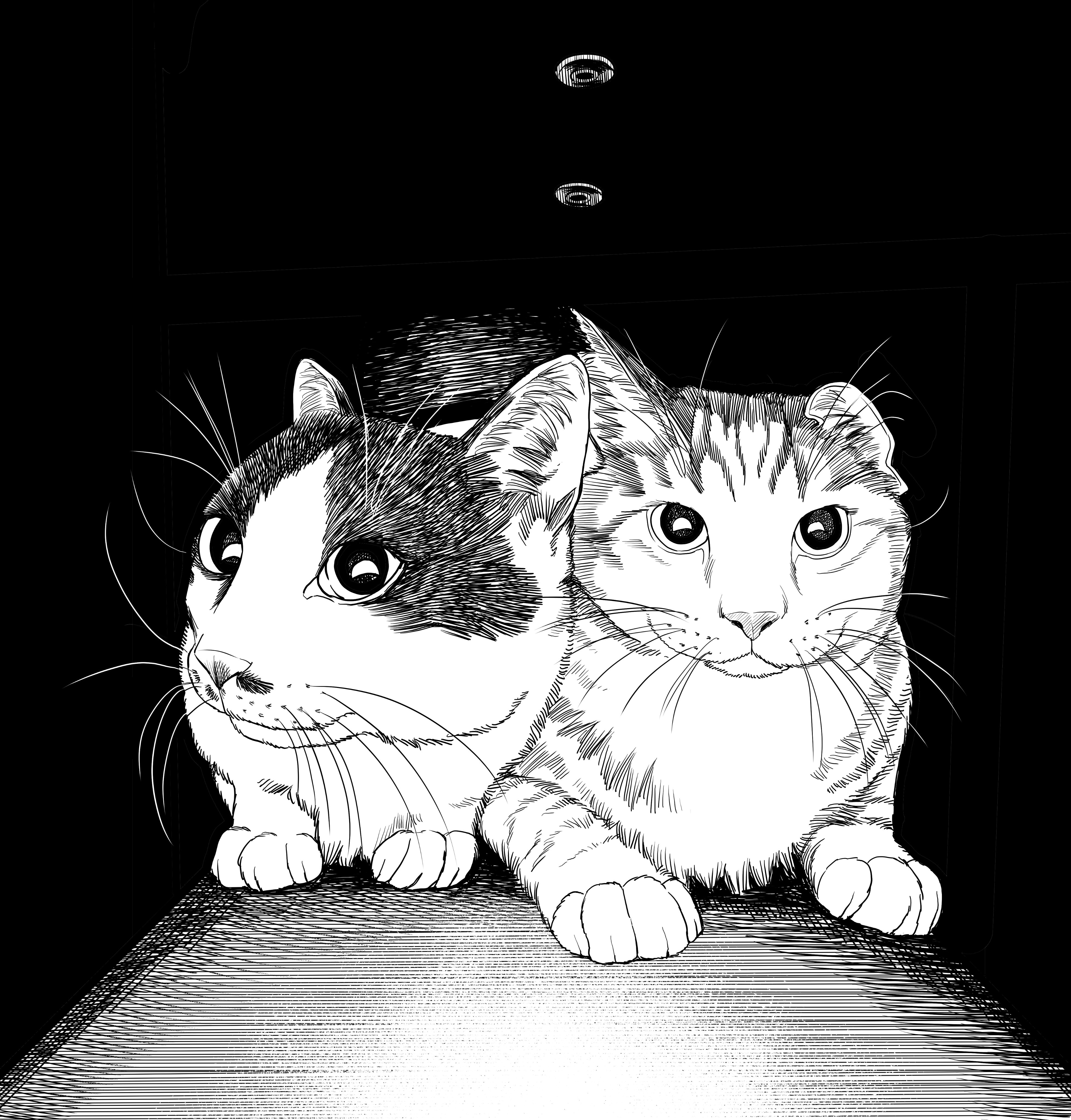 absurdres animal animal_ear_fluff animal_focus black_background cat commentary folded_ear greyscale highres korean_commentary looking_at_viewer looking_to_the_side monochrome multicolored_cat multiple_cats no_humans original realistic sat0_manga side-by-side striped_fur tabby_cat whiskers