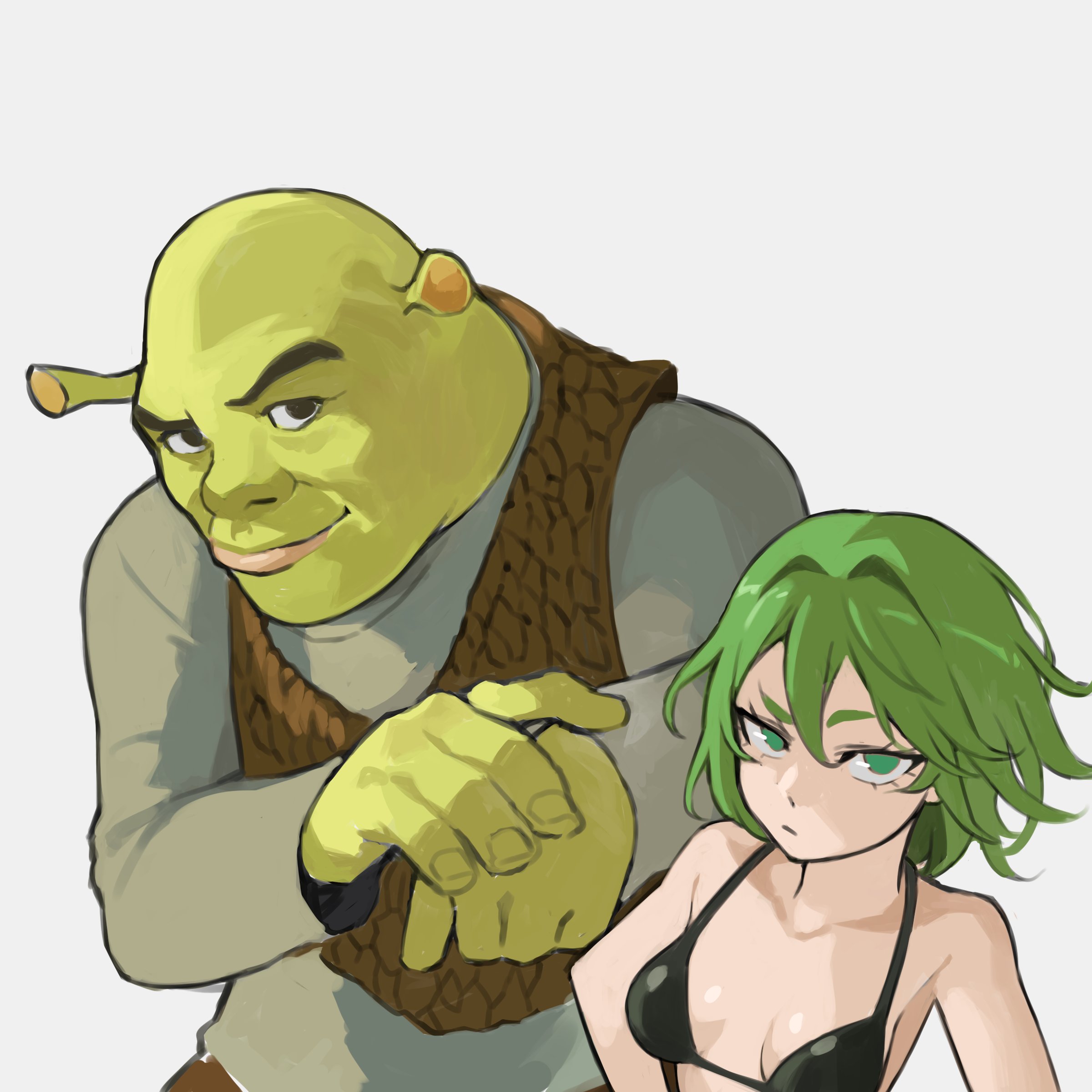 1boy 1girl absurdres bikini black_bikini breasts brown_vest color_connection crossover green_eyes green_hair green_skirt grey_shirt highres leather_vest mogglebear one-punch_man shirt shrek shrek_(series) skirt small_breasts swimsuit tatsumaki vest