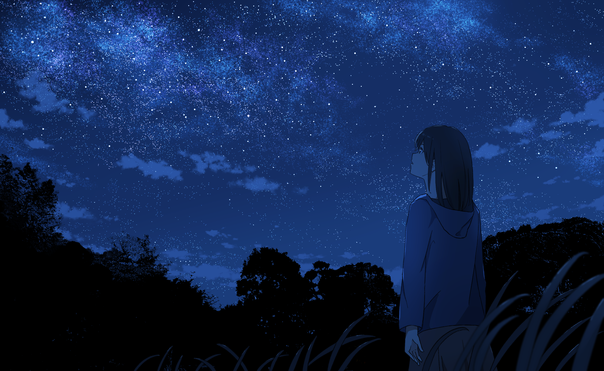 1girl anyotete black_hair blue_hoodie blurry commentary cowboy_shot depth_of_field english_commentary from_behind grass highres hood hoodie long_hair long_sleeves looking_up night night_sky open_mouth original outdoors scenery silhouette sky solo standing star_(sky) starry_sky tree wide_shot