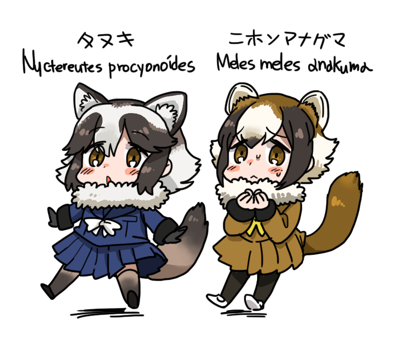 10s 2girls :&lt; :o animal_ears anyan_(jooho) arms_at_sides beige_legwear black_gloves blue_sailor_collar blue_shirt blue_skirt blush blush_stickers breast_pocket brown_eyes brown_footwear brown_hair brown_legwear brown_shirt brown_skirt character_name chibi closed_mouth collared_shirt dot_nose extra_ears eyebrow_twitching floating full_body fur_collar gloves gradient_legwear grey_hair height_difference image_sample japanese_badger_(kemono_friends) kemono_friends light_brown_hair long_sleeves looking_at_viewer looking_away multicolored_hair multicolored_legwear multiple_girls naver_sample neck_ribbon nervous nose_blush open_mouth own_hands_together pantyhose pleated_skirt pocket raccoon_ears raccoon_tail ribbon sailor_collar school_uniform scientific_name serafuku shadow shirt shoe_soles shoes short_hair shy simple_background skirt sleeve_cuffs sweat tail tanuki_(kemono_friends) tareme thighhighs triangle_mouth two-tone_legwear white_background white_footwear white_hair white_ribbon yellow_ribbon zettai_ryouiki