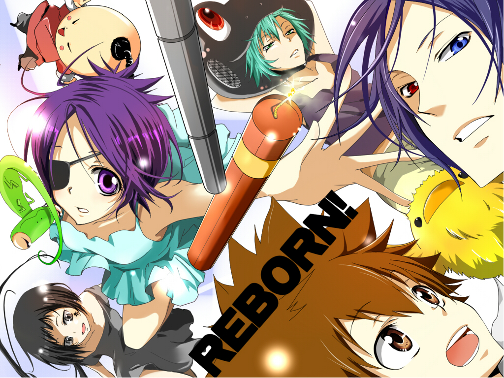 2girls 4boys animal black_hair blue_eyes brown_eyes brown_hair chrome_dokuro dress dynamite everyone explosive eyepatch fran_(reborn) green_eyes green_hair heterochromia hibird i-pin katekyo_hitman_reborn! leon_(reborn) long_hair multiple_boys multiple_girls purple_eyes purple_hair red_eyes rokudou_mukuro rokudou_mukurou sawada_tsunayoshi short_hair uni_(reborn)