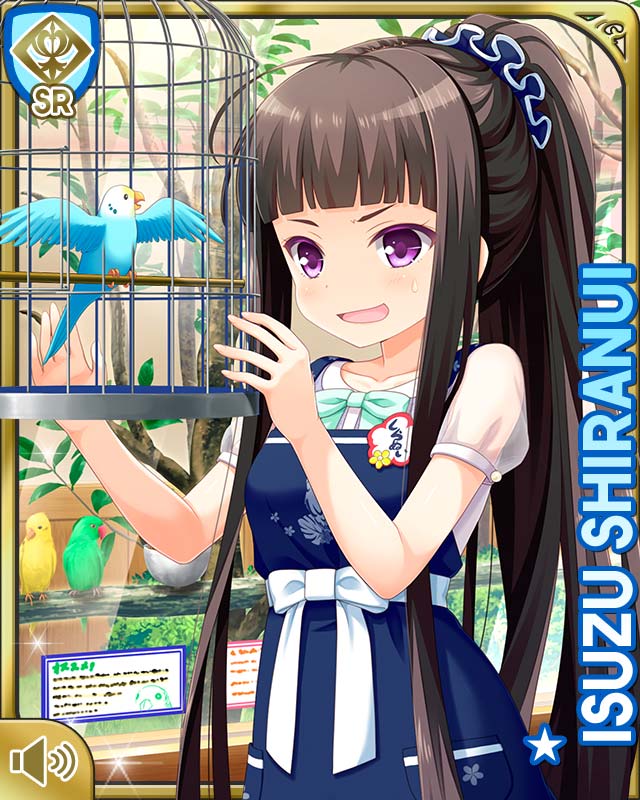 1girl alternate_hairstyle bird birdcage black_hair blue_dress cage card_(medium) character_name day dress girlfriend_(kari) hair_ornament indoors blue_bow official_art open_mouth ponyail purple_eyes qp:flapper shiranui_isuzu smile standing store tagme
