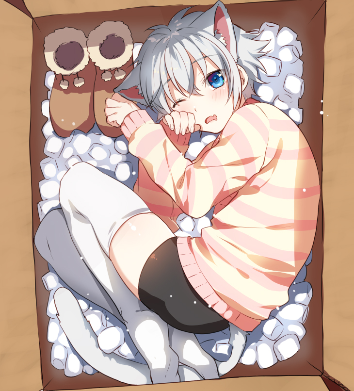 1boy animal_ears bike_shorts black_shorts blue_eyes box cat_boy cat_ears cat_tail fang from_above ginjiro_(ginziro525) ginjiro_(vtuber) grey_hair grey_tail hair_between_eyes hand_on_own_cheek hand_on_own_face in_box in_container long_sleeves looking_at_viewer looking_to_the_side looking_up messy_hair one_eye_closed open_mouth original packing_peanuts shirt shoes short_hair shorts skin_fang striped_clothes striped_shirt tail thighhighs trap unworn_shoes virtual_youtuber white_legwear