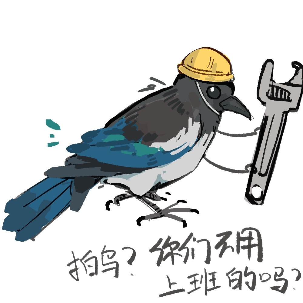 animal_focus bird chinese_commentary chinese_text commentary_request hard_hat hat helmet magpie no_humans original simple_background solo translation_request white_background wrench yellow_hat zhanghemankong