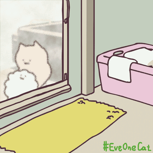 :3 animal_focus animated animated_gif baby_animal bath_stool bathroom cat commentary english_commentary everydayonecat extendable_limbs fleeing frosted_glass hashtag indoors kitten looping_animation no_humans on_stool original running shampoo shampoo_bottle sitting soap_bubbles stool towel washing_another white_cat