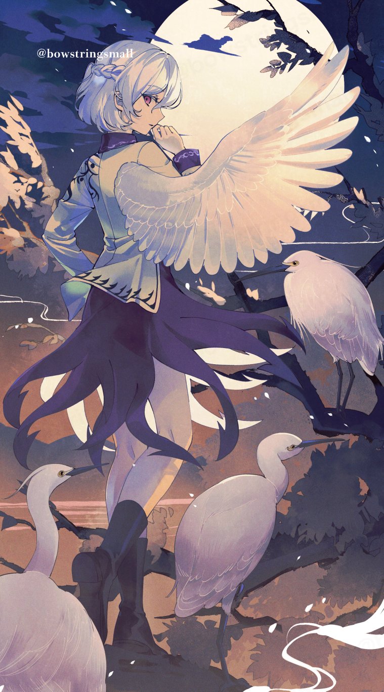 1girl bird black_boots boots braid cloud dress feathered_wings from_behind full_body full_moon grey_jacket half_up_braid hand_to_own_mouth highres jacket kishin_sagume little_egret long_sleeves looking_at_viewer looking_back moon night oito_(bowstringsmall) outdoors purple_dress purple_eyes single_wing solo standing touhou twitter_username white_bird white_wings wings