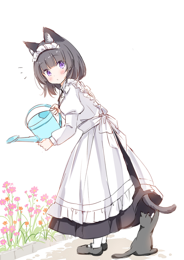 1girl animal animal_ear_fluff animal_ears apron black_cat black_hair black_shoes black_skirt blush cat cat_ears closed_mouth commentary_request flower frilled_apron frills full_body holding juliet_sleeves komugi_(wataame27) long_sleeves maid maid_apron maid_headdress original pantyhose puffy_sleeves purple_eyes purple_flower shirt shoes short_hair simple_background skirt solo wataame27 watering_can white_apron white_background white_pantyhose white_shirt