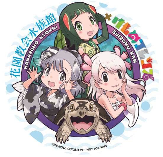 3girls black_eyes green_eyes green_hair grey_eyes grey_hair jinmen-gyo_(kemono_friends) kemono_friends long_hair mexico_salamander_(kemono_friends) multiple_girls official_art pink_hair red-eared_slider_(kemono_friends) yoshizaki_mine