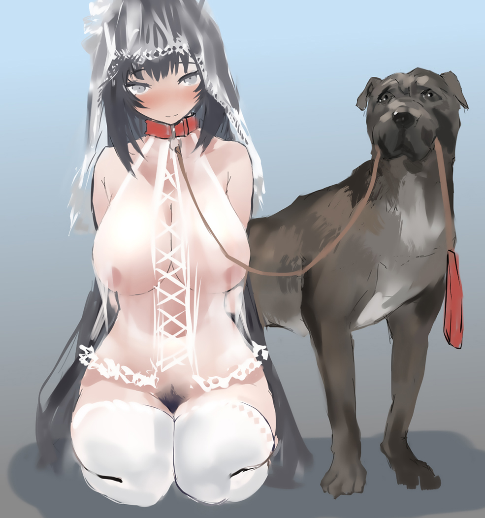 dog collar girls porn bestiality polki, tagme, 1girl, bestiality, bridal veil, collar, dog, doggystyle,  dress, functionally nude, hetero, leash, sex from behind, veil, wedding  dress - Image View - | Gelbooru - Anime Art & Hentai Gallery - Free to  Explore