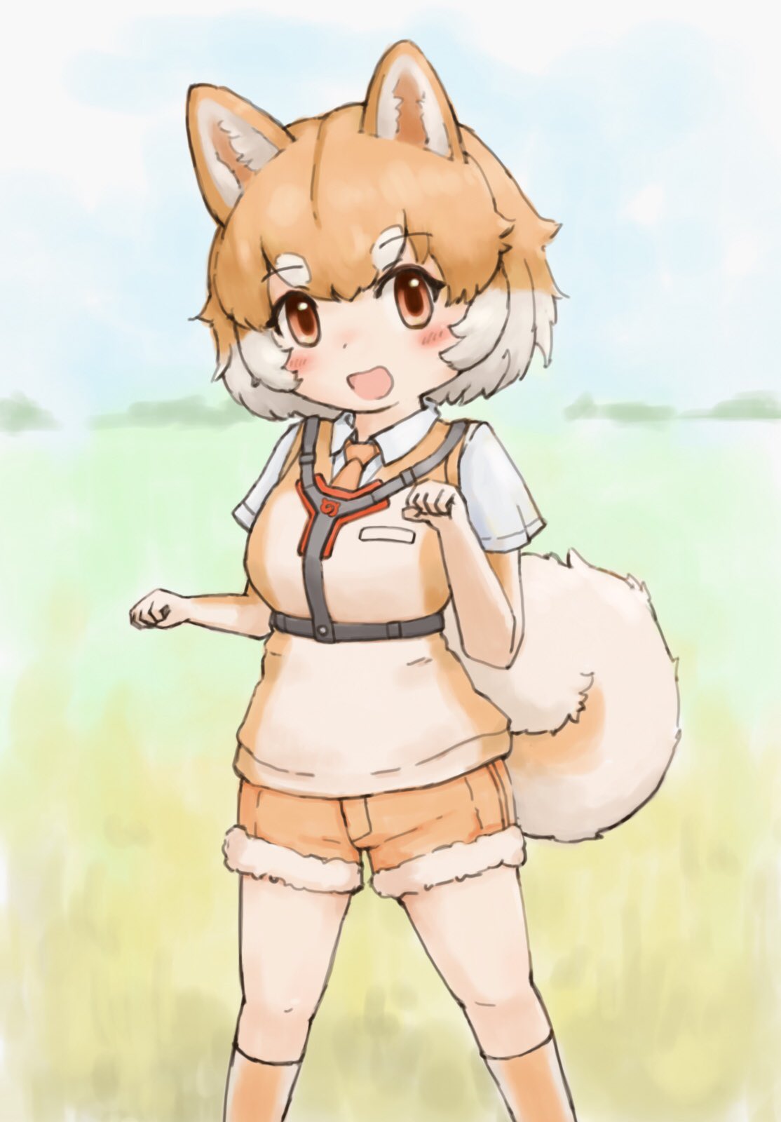 1girl animal_ears blue_sky brown_eyes brown_hair dog_(shiba_inu)_(kemono_friends) dog_ears dog_girl dog_tail elbow_gloves extra_ears gloves grey_hair highres kemono_friends looking_at_viewer multicolored_hair necktie outdoors shirt short_hair shorts sky socks solo sweater_vest tail two-tone_hair zzz_ansh