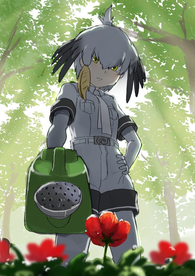 1girl belt bird_girl bird_wings black_hair blonde_hair blush collared_shirt elbow_gloves flower gloves grey_gloves grey_hair grey_pantyhose grey_shirt grey_shorts hand_on_own_hip head_wings japari_symbol kemono_friends looking_at_viewer multicolored_hair necktie pantyhose shirt shoebill_(kemono_friends) short_hair short_sleeves shorts solo uniform watering_can white_belt white_necktie wings yellow_eyes yumeumi_sousaku