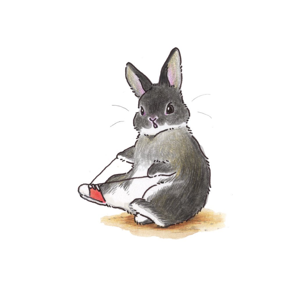 animal animal_ears animal_focus berry_jou no_humans on_ground original rabbit rabbit_ears rabbit_tail simple_background tail traditional_media tying_footwear white_background