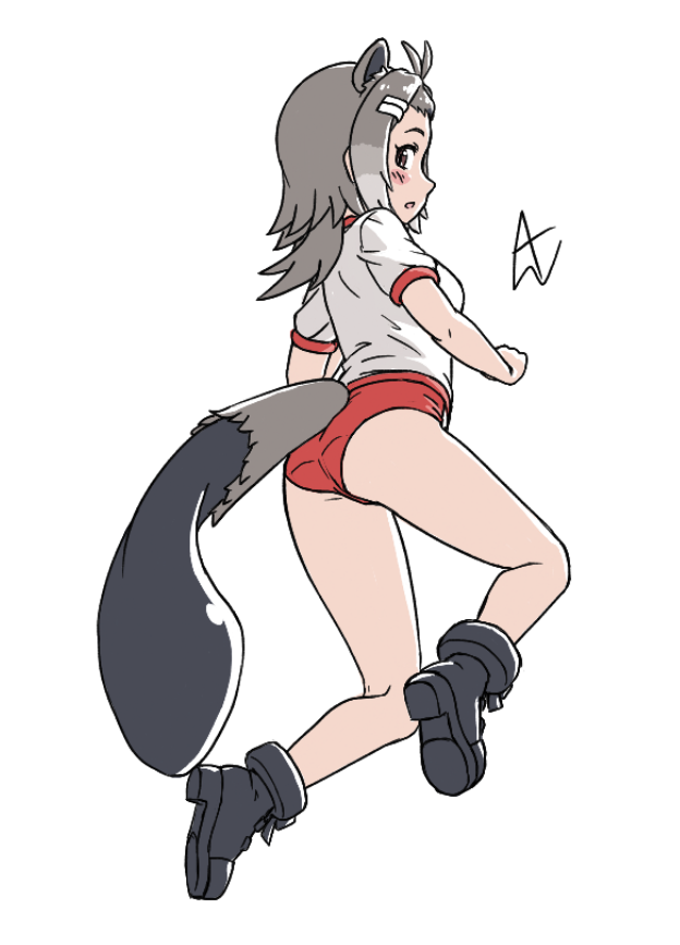 acesrulez alternate_costume american_beaver_(kemono_friends) animal_ears bare_legs beaver_ears beaver_tail black_footwear blush boots brown_eyes brown_hair buruma extra_ears grey_hair gym_shirt gym_uniform kemono_friends looking_at_viewer looking_back multicolored_hair red_buruma shirt short_hair short_sleeves sidelocks t-shirt tail white_shirt
