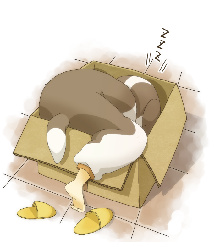 1boy 1girl animal_costume bad_id bad_pixiv_id barefoot box cardboard_box dog_costume female_focus in_box in_container izumi_kirifu kamen_rider kamen_rider_w male_focus original philip philip_(kamen_rider) sandals shoes sleeping solo unworn_shoes zzz