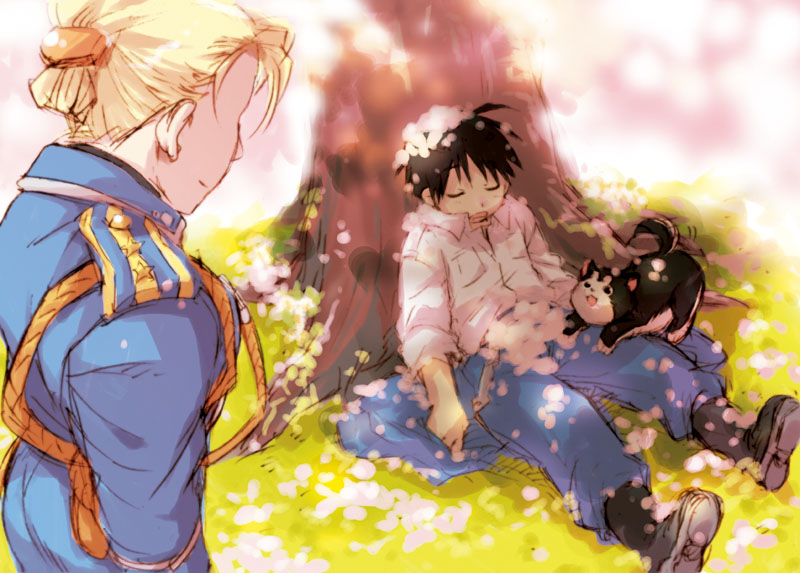 00s 1boy 1girl aiguillette black_hair black_hayate blonde_hair dog folded_ponytail fullmetal_alchemist kirou_ran military military_uniform petals riza_hawkeye roy_mustang shiba_inu sleeping tree