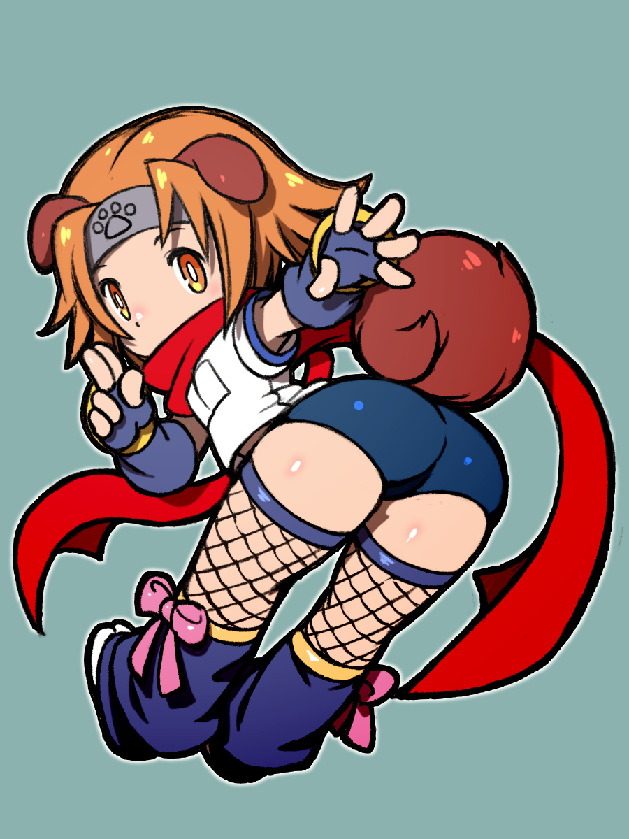 1girl animal_ears arcana_heart ass beeru_(veil8801) bent_over blue_background blue_buruma blue_gloves blue_leg_warmers bow bright_pupils buruma curled_tail dog_ears dog_girl dog_tail fingerless_gloves fishnet_thighhighs fishnets floppy_ears from_behind full_body gloves gym_shirt gym_uniform headband highres konoha_(arcana_heart) leg_warmers looking_back orange_eyes orange_hair outline paw_print pink_bow red_scarf red_tail scarf scarf_over_mouth shirt short_hair simple_background solo tail thighhighs white_outline white_pupils white_shirt