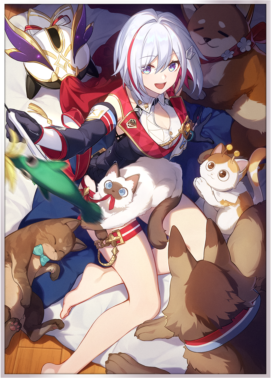 1girl :d aiguillette animal animal_on_lap barefoot black_gloves black_jacket blue_bow blue_bowtie blue_eyes border bow bowtie breasts cat cat_on_lap cat_teaser cleavage collared_shirt detached_collar dog foot_out_of_frame from_above gloves hair_ornament highres holding_cat_teaser honkai:_star_rail honkai_(series) jacket large_breasts multicolored_hair numby_(honkai:_star_rail) official_art on_lap open_mouth shiba_inu shirt short_hair sitting smile solo streaked_hair thigh_strap third-party_source topaz_(honkai:_star_rail) trotter_(honkai:_star_rail) two-tone_hair warp_trotter_(honkai:_star_rail) white_border white_hair white_shirt yokozuwari