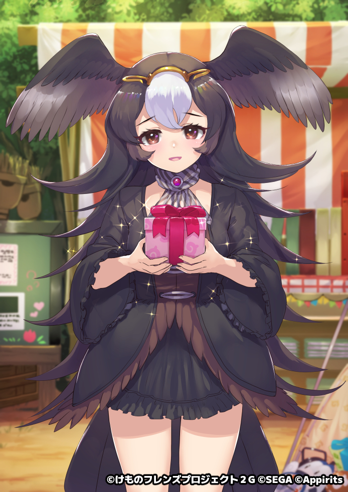 1girl bird_girl bird_tail bird_wings black_jacket black_skirt blush brown_eyes brown_hair brown_jacket brown_neckwear circlet commentary_request frilled_jacket frilled_skirt frilled_sleeves frills gift hair_between_eyes head_wings jacket kemono_friends kemono_friends_3 long_hair long_sleeves looking_at_viewer multicolored_hair multicolored_jacket official_art scarf skirt solo striated_caracara_(kemono_friends) tadano_magu tail two-tone_hair two-tone_jacket two-tone_neckwear white_hair white_neckwear wings