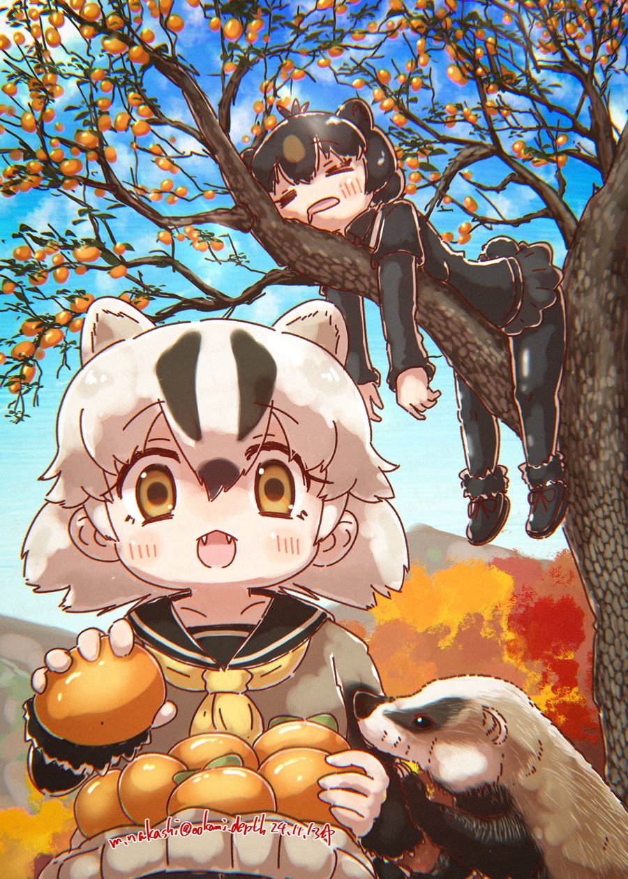 &gt;_&lt; 2girls animal_ears autumn_leaves badger badger_ears badger_girl badger_tail bear_ears bear_girl bear_tail black_footwear black_fur black_hair black_pantyhose black_shirt black_skirt black_sleeves blush boots brown_hair brown_sweater closed_eyes drooling extra_ears fangs food fruit fur_trim gradient_sweater hair_between_eyes highres in_tree japanese_badger_(kemono_friends) japanese_black_bear_(kemono_friends) kemono_friends leaf long_sleeves multicolored_hair multiple_girls nakashi_masakumi neckerchief open_mouth orange_(fruit) pantyhose pleated_skirt sailor_collar school_uniform serafuku shirt short_sleeves sidelocks skirt sleeping sweater tail tree two-tone_hair white_hair yellow_eyes yellow_neckerchief