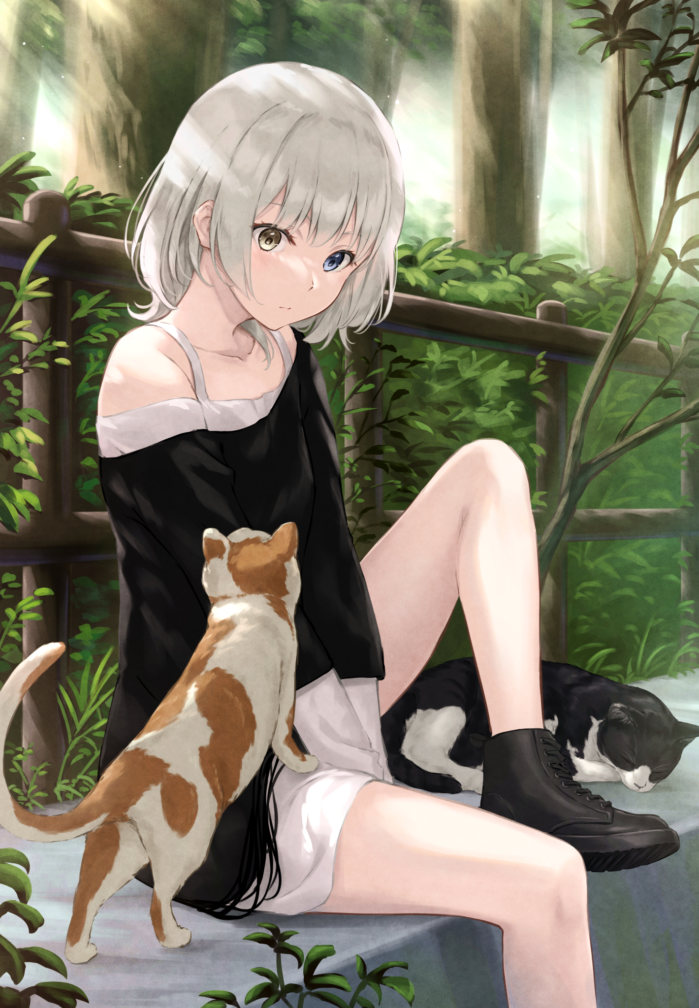 1girl animal ankle_boots bang_dream! bang_dream!_it's_mygo!!!!! bare_shoulders black_boots black_shirt blue_eyes boots bush cat closed_mouth clothing_cutout collarbone commentary_request day expressionless fence foot_out_of_frame forest heterochromia highres kaname_raana knee_up layered_sleeves light_blush light_particles long_shirt long_sleeves looking_ahead looking_down medium_hair nature nuenue off-shoulder_shirt off_shoulder outdoors shirt shoe_soles shoulder_cutout sitting solo tree undershirt v_arms white_hair white_shirt wooden_fence yellow_eyes