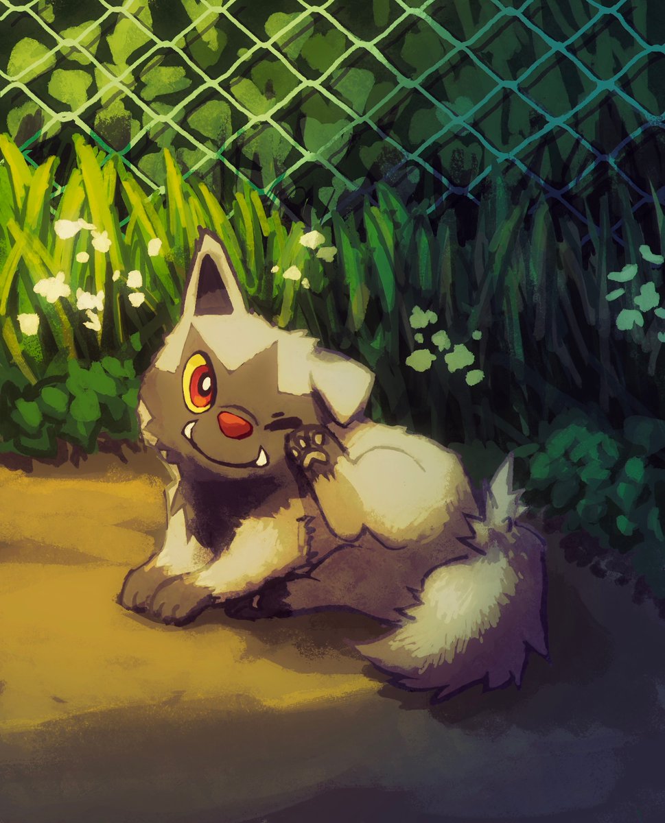 aruco_co black_fur chain-link_fence closed_mouth colored_sclera commentary fangs fence flower full_body gen_3_pokemon grass grey_fur highres leaf looking_at_viewer nintendo no_humans on_ground one_eye_closed outdoors pawpads plant pokemon pokemon_(creature) poochyena red_eyes scratching_head scratching_with_foot sitting solo two-tone_fur white_flower yellow_sclera