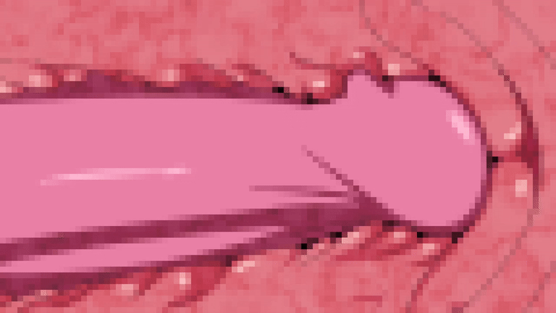 1boy 1girl 2025 20s animated animated_gif balloon_womb censored cervix condom deep_penetration kemonokko_tsuushin kemonokko_tsuushin_~pokora~ large_penis mosaic_censoring penis pokora_(kemonokko_tsuushin) raccoon_girl rape sex tagme tanuki uterus vaginal x-ray