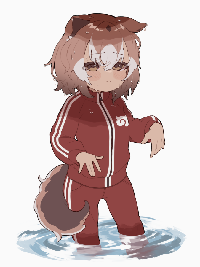 :&lt; alternate_costume animal_ears blush brown_eyes brown_hair cowboy_shot dog_ears dog_girl dog_tail ears_down frown hair_between_eyes jacket japari_symbol kemono_friends long_sleeves masaratta multicolored_hair new_guinea_highland_wild_dog_(kemono_friends) pants puffy_sleeves red_jacket red_pants red_track_suit short_hair sidelocks tail track_jacket track_pants track_suit wading water water_drop wet wet_hair white_hair
