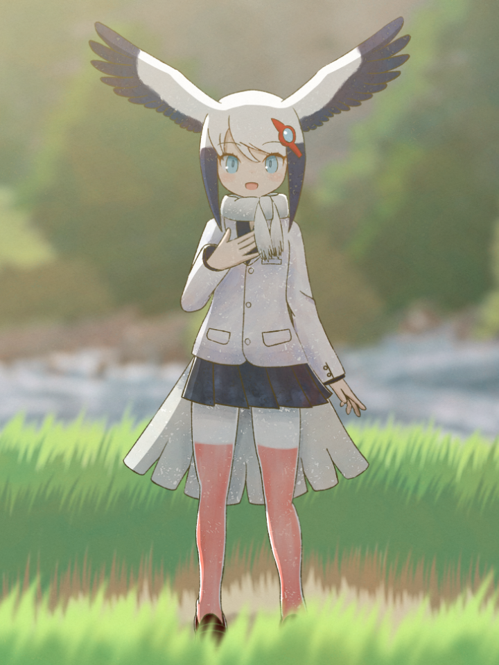 10s 1girl :d artist_request bird_tail black_hair black_skirt blue_eyes blurry blurry_background commentary day female_focus full_body grass hair_ornament hairclip hand_on_own_chest head_wings jacket kemono_friends long_sleeves looking_at_viewer multicolored_hair nature open_mouth oriental_stork_(kemono_friends) outdoors pantyhose pleated_skirt red_pantyhose scarf shoes skirt smile solo standing tail two-tone_hair two-tone_legwear white_hair white_jacket white_pantyhose white_scarf wings