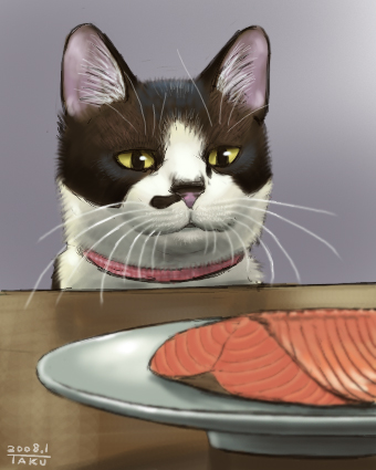 00s 2008 animal_focus cat collar colored_sclera dated food gradient_background indoors lowres matataku monita_(matataku) no_humans original plate salmon_(fish) solo whiskers yellow_sclera