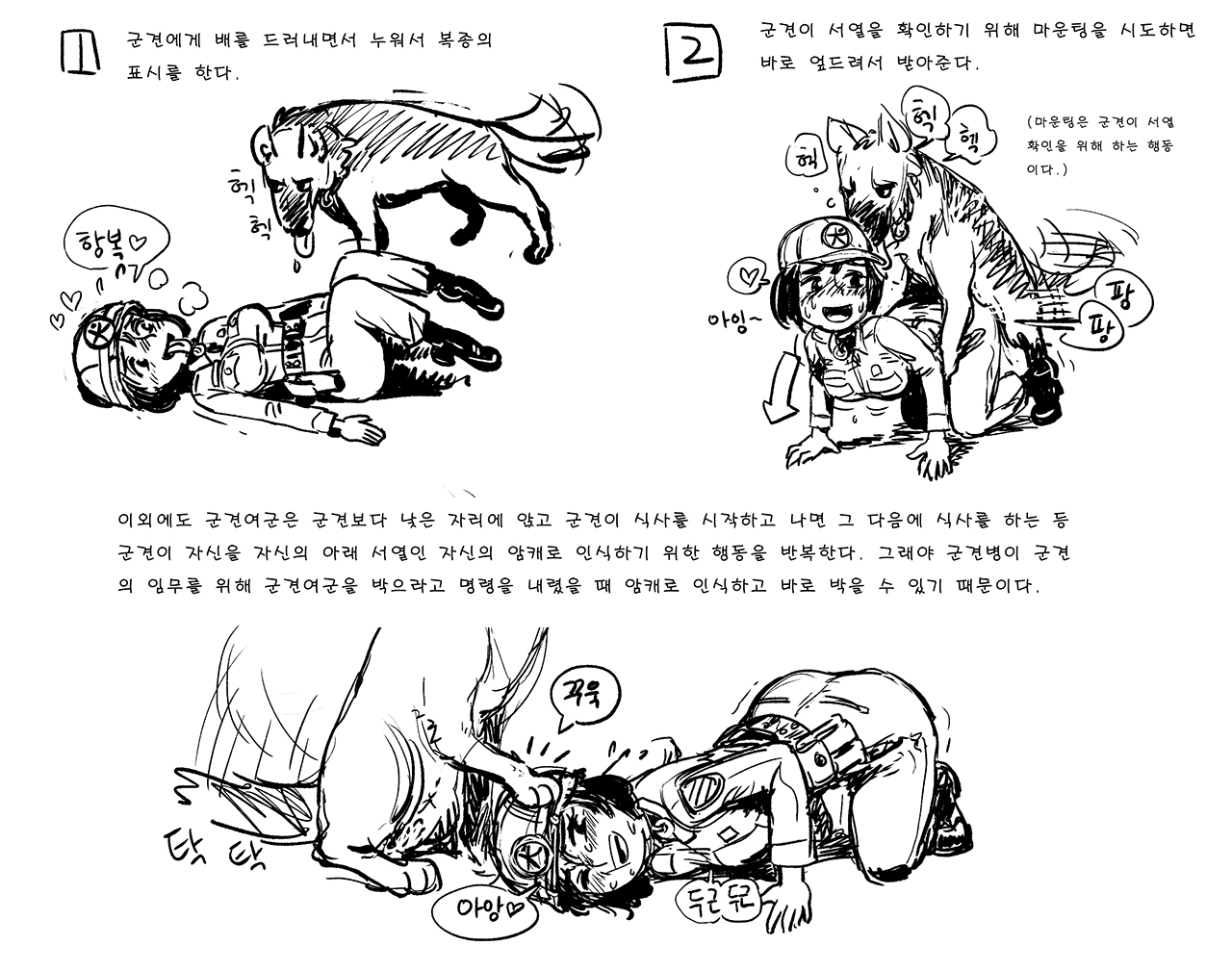 gogocherry, tagme, bestiality, dog, female soldier - Image View - |  Gelbooru - Anime Art & Hentai Gallery - Free to Explore