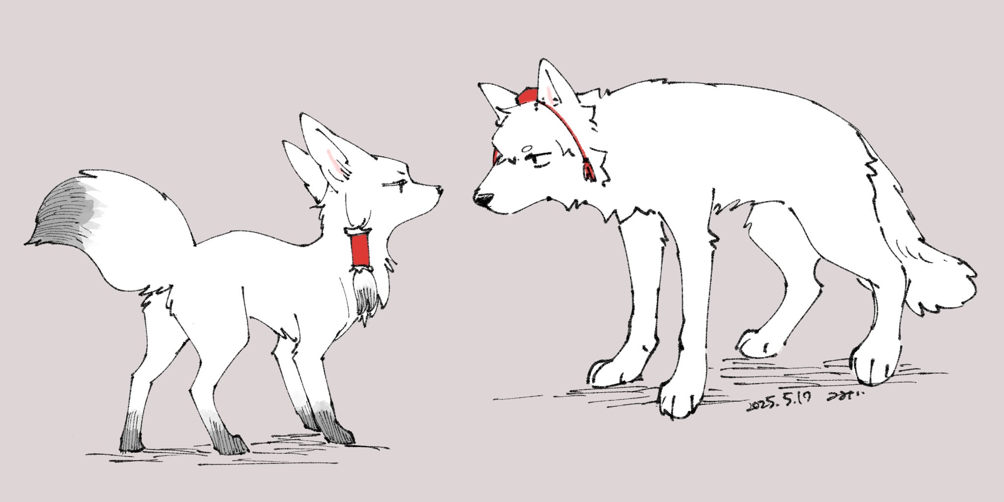 animal animal_focus animalization commentary_request dated eye_contact fox frilled_hair_tubes frills hair_tubes hakurei_reimu hakurei_reimu_(fox) hat highres inubashiri_momiji inubashiri_momiji_(wolf) looking_at_another min.k no_humans red_hat signature simple_background tail tokin_hat touhou white_fur wolf