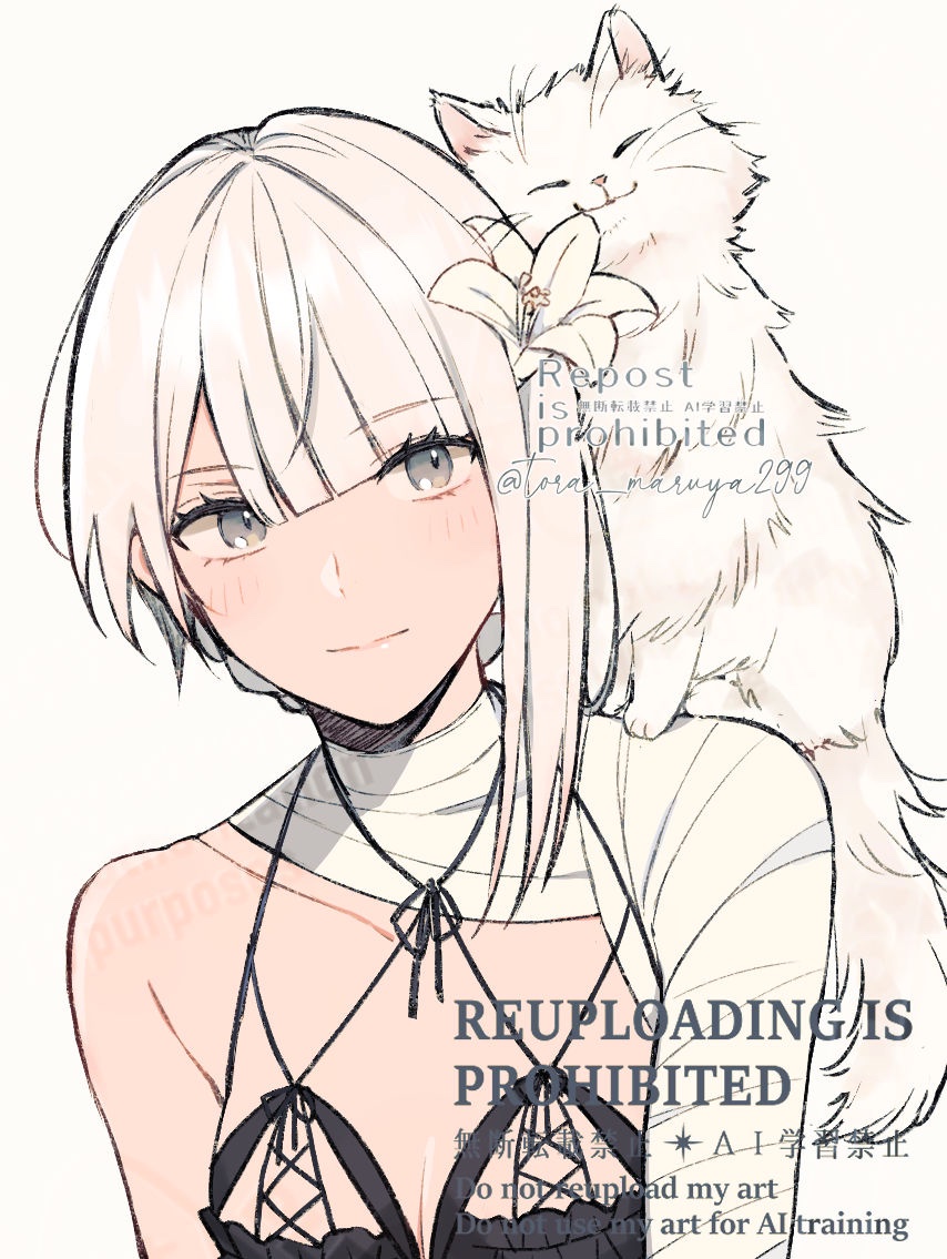 1girl artist_name asymmetrical_bangs bandaged_arm bandaged_neck bandages blunt_bangs breasts cat closed_mouth commentary_request flower grey_eyes hair_flower hair_ornament kaine_(nier) kurosawa_kazuto long_hair looking_at_viewer medium_breasts nier nier_(series) parted_bangs simple_background single_bare_shoulder smile solo twitter_username upper_body watermark whiskers white_background white_cat white_flower white_fur white_hair