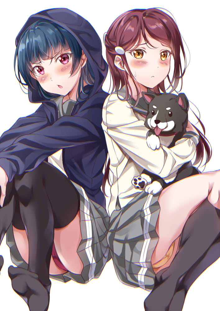 2girls :o animal anko_(love_live!) bad_id bad_pixiv_id black_socks blue_hair blush dog frown grey_skirt hair_ornament hairclip half_updo holding holding_animal holding_dog hood hood_up hoodie kneehighs long_sleeves love_live! love_live!_sunshine!! multiple_girls no_shoes panties pantyshot pleated_skirt purple_eyes purple_hoodie purple_panties red_hair sakurauchi_riko school_uniform serafuku simple_background sitting skirt socks sweatdrop thighhighs tipii tsushima_yoshiko underwear v-shaped_eyebrows white_background yellow_eyes yellow_panties